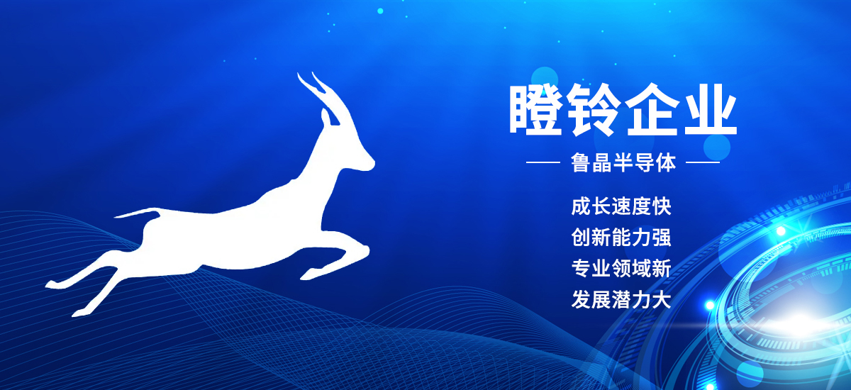 第12页_公司新闻_新闻_济南鲁晶半导体有限公司